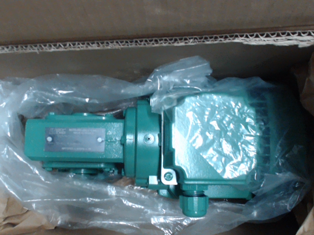 Minibloc MVA 50.0 NS D R M MI 4P LS63M 0,12kW B14 230VD/400VY 50Hz图片
